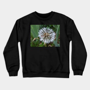 Wishes Crewneck Sweatshirt